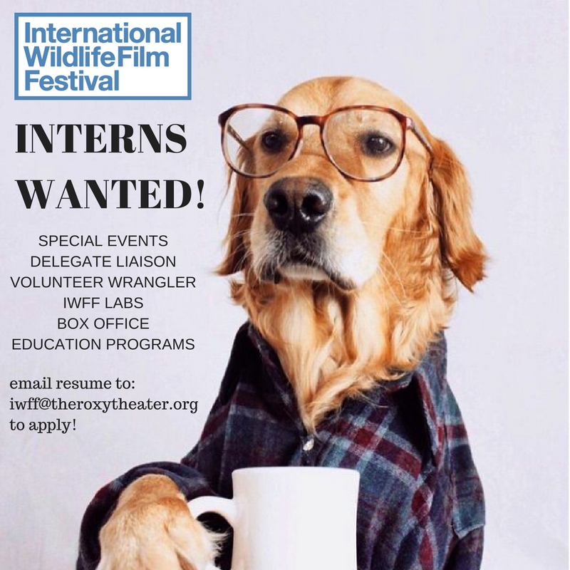 interns-wanted